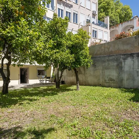 Fancy 2bdr Duplex With Patio *